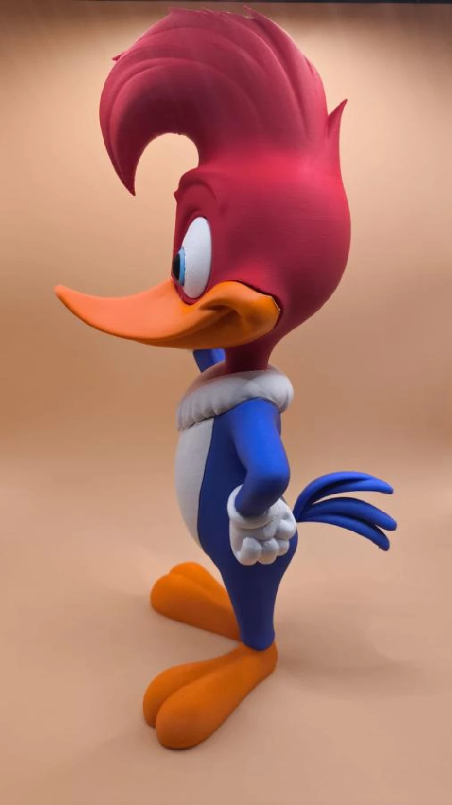 Foto 15:  — Conde Studio 3D